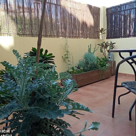 Loft Alquiler Alcalali Apartment Bagian luar foto
